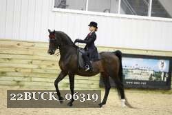 22BUCK_06319 proof