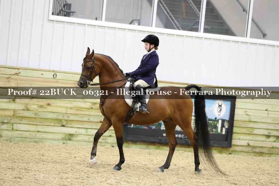 Proof 22BUCK_06321