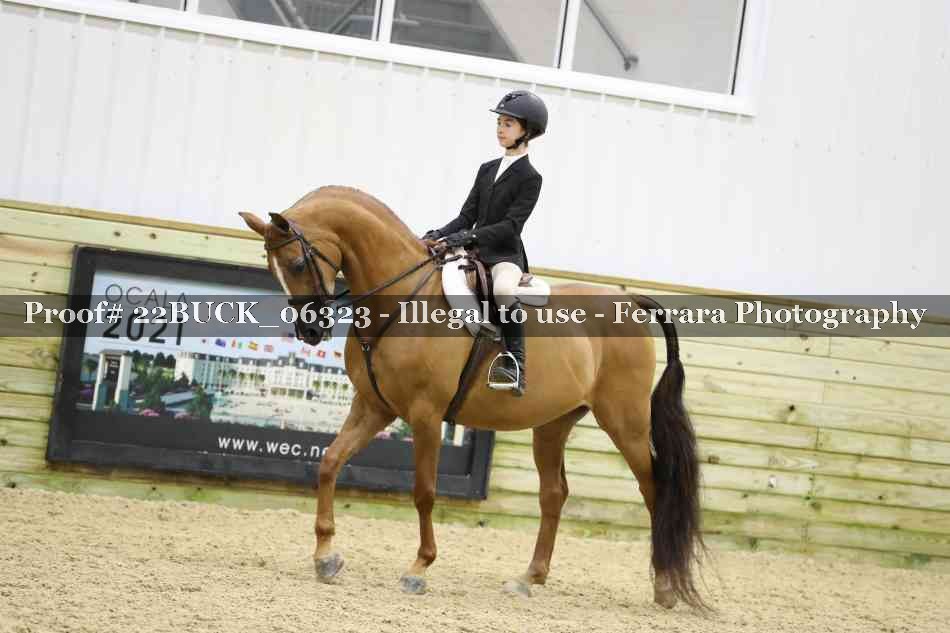 Proof 22BUCK_06323