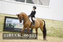 22BUCK_06323 proof