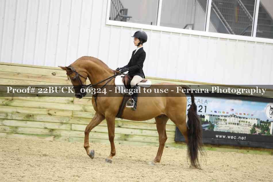 Proof 22BUCK_06324