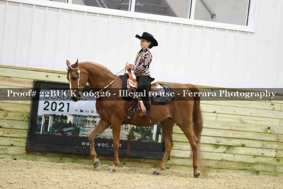 Proof 22BUCK_06326