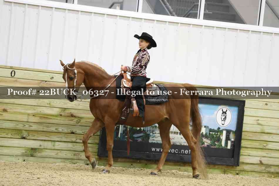Proof 22BUCK_06327