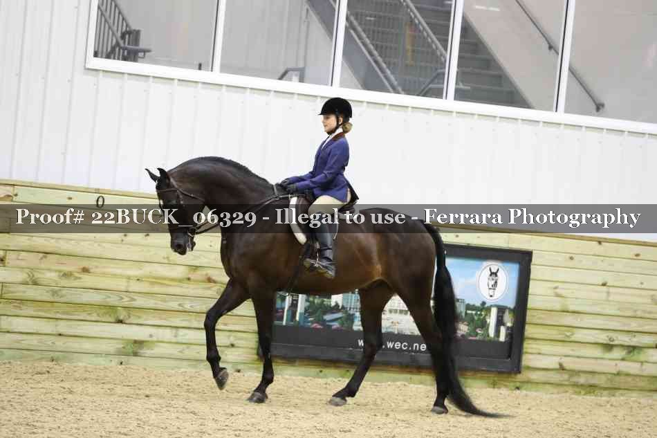 Proof 22BUCK_06329