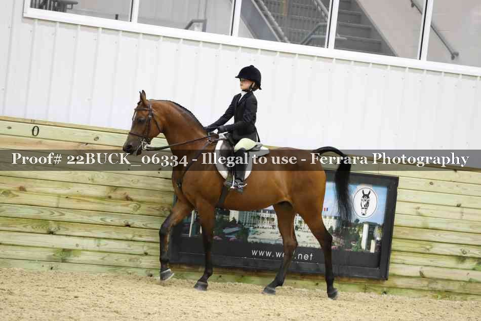 Proof 22BUCK_06334