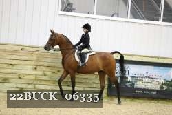 22BUCK_06335 proof