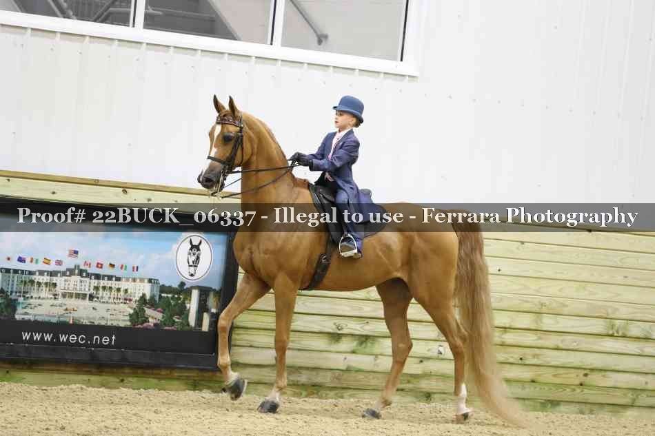 Proof 22BUCK_06337
