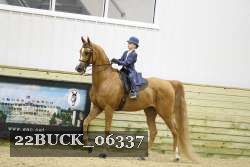 22BUCK_06337 proof