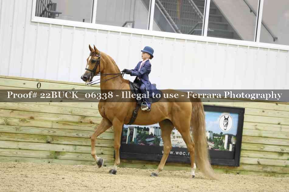 Proof 22BUCK_06338