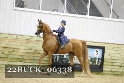 22BUCK_06338 proof