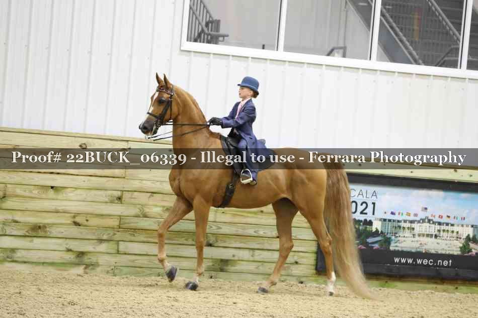 Proof 22BUCK_06339