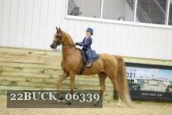 22BUCK_06339 proof