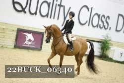 22BUCK_06340 proof