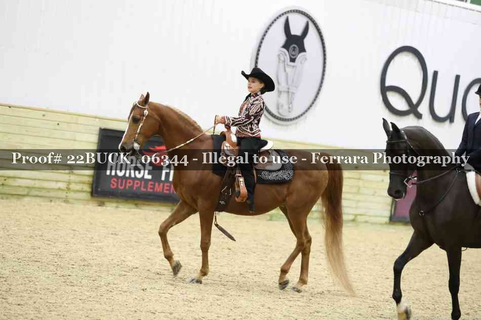 Proof 22BUCK_06344