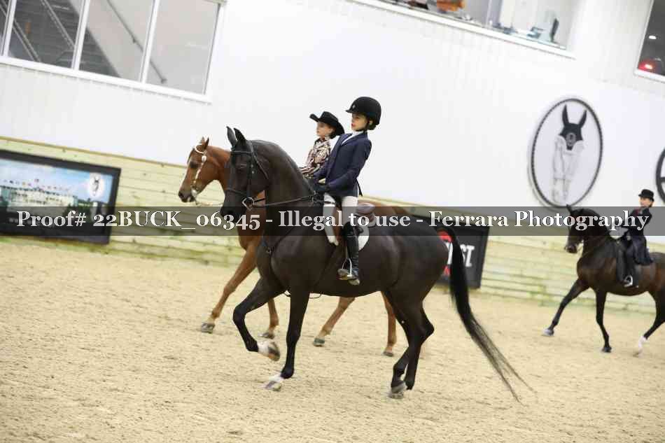 Proof 22BUCK_06345