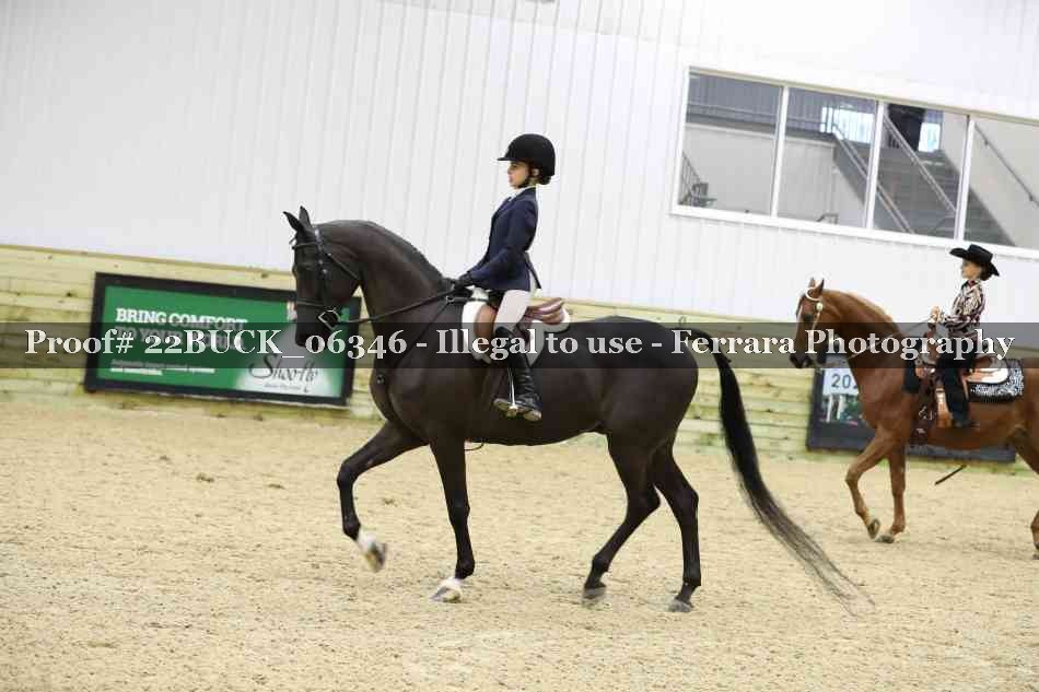 Proof 22BUCK_06346