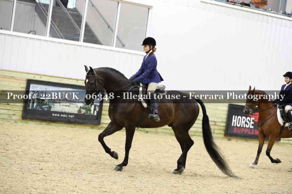Proof 22BUCK_06348