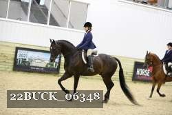22BUCK_06348 proof