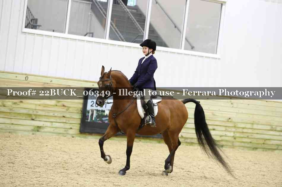 Proof 22BUCK_06349
