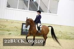 22BUCK_06349 proof