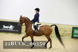 22BUCK_06350 proof