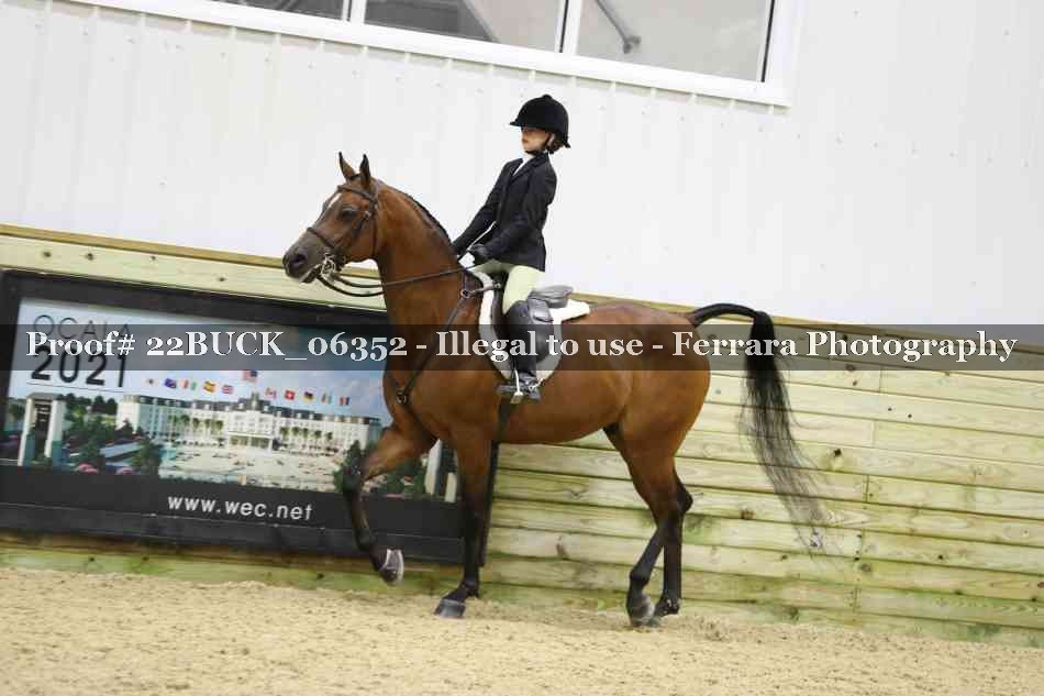 Proof 22BUCK_06352