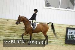 22BUCK_06353 proof