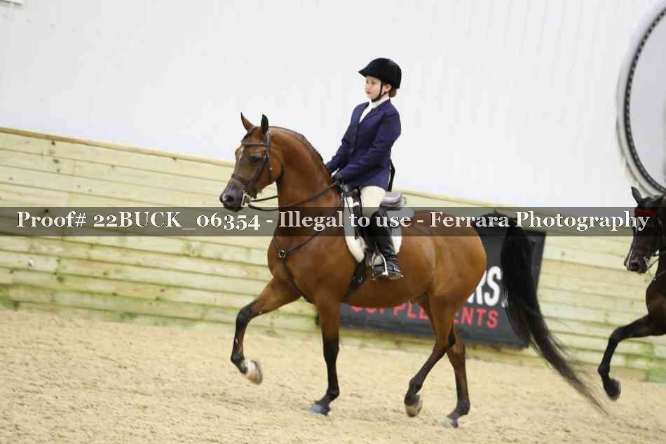 Proof 22BUCK_06354