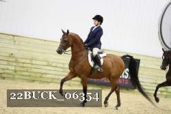 22BUCK_06354 proof