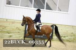 22BUCK_06355 proof