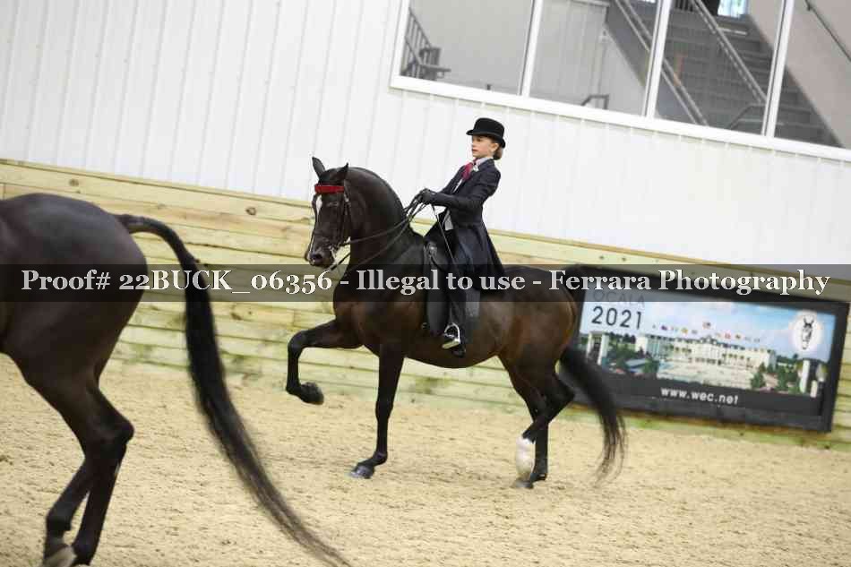 Proof 22BUCK_06356