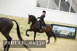 22BUCK_06356 proof