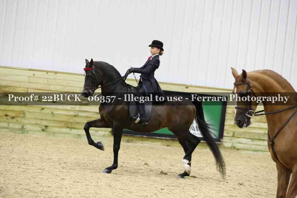 Proof 22BUCK_06357