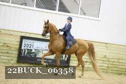 22BUCK_06358 proof
