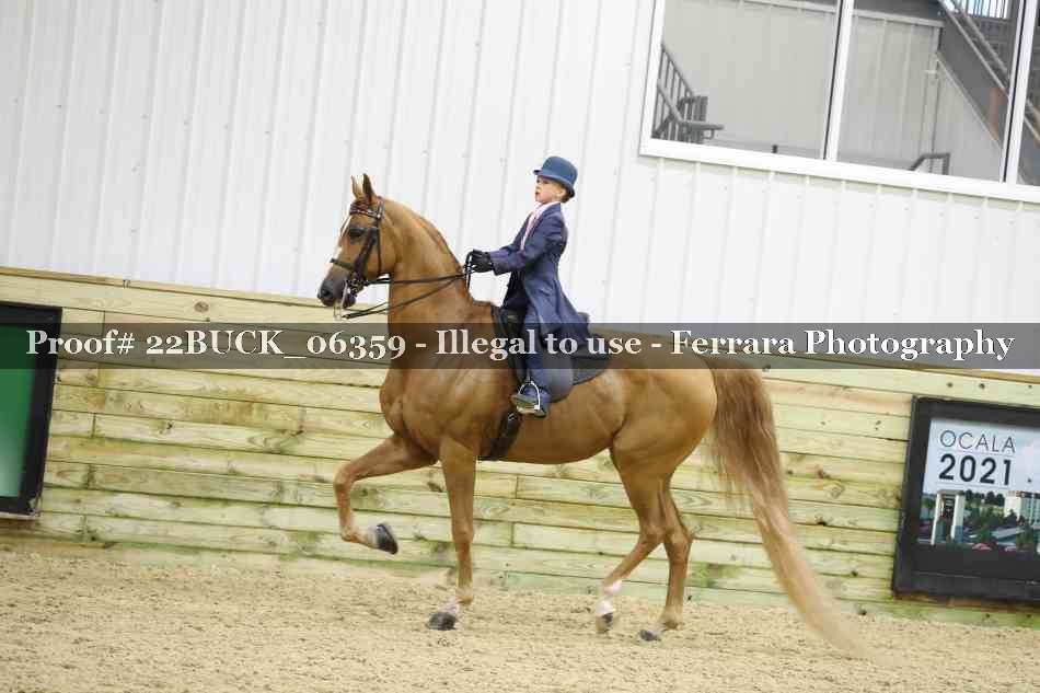 Proof 22BUCK_06359