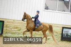 22BUCK_06359 proof