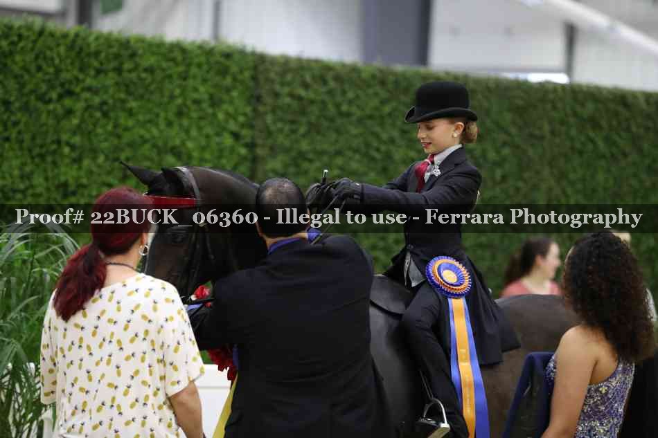 Proof 22BUCK_06360