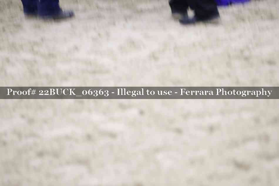 Proof 22BUCK_06363