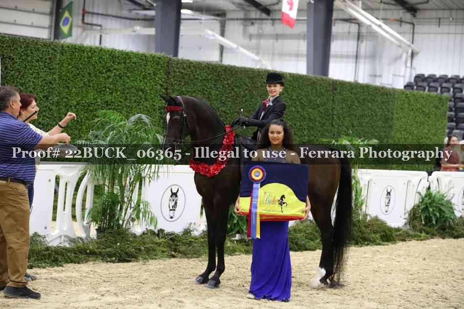 Proof 22BUCK_06365
