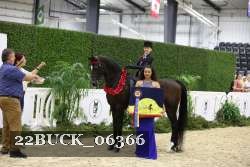 22BUCK_06366 proof