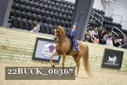 22BUCK_06367 proof