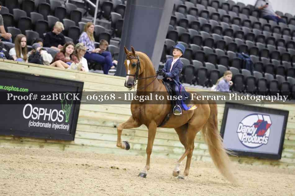 Proof 22BUCK_06368