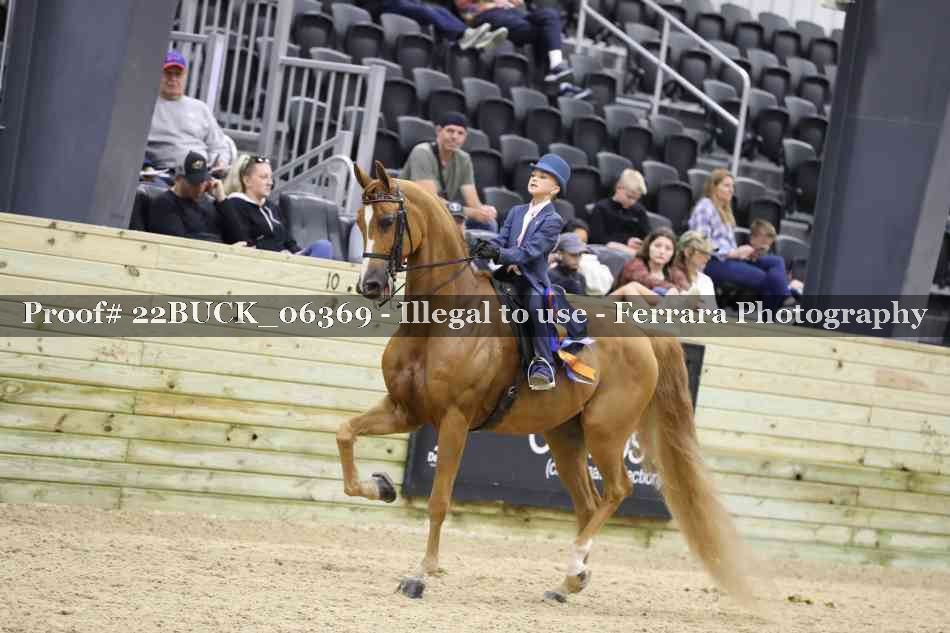 Proof 22BUCK_06369