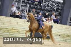 22BUCK_06369 proof