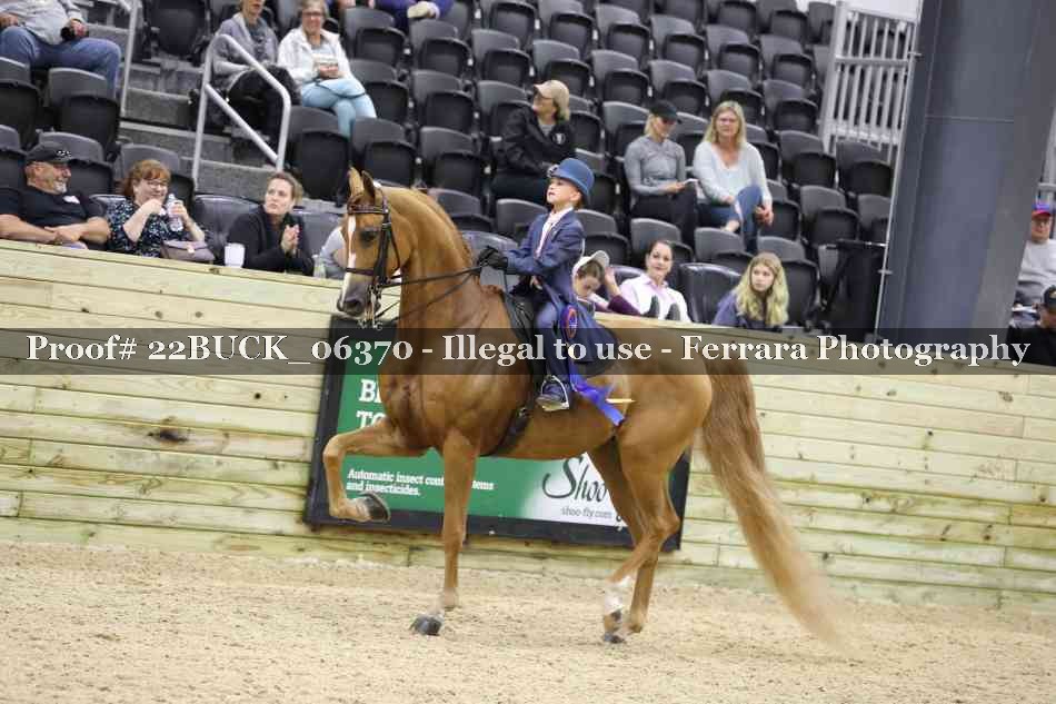 Proof 22BUCK_06370