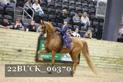 22BUCK_06370 proof