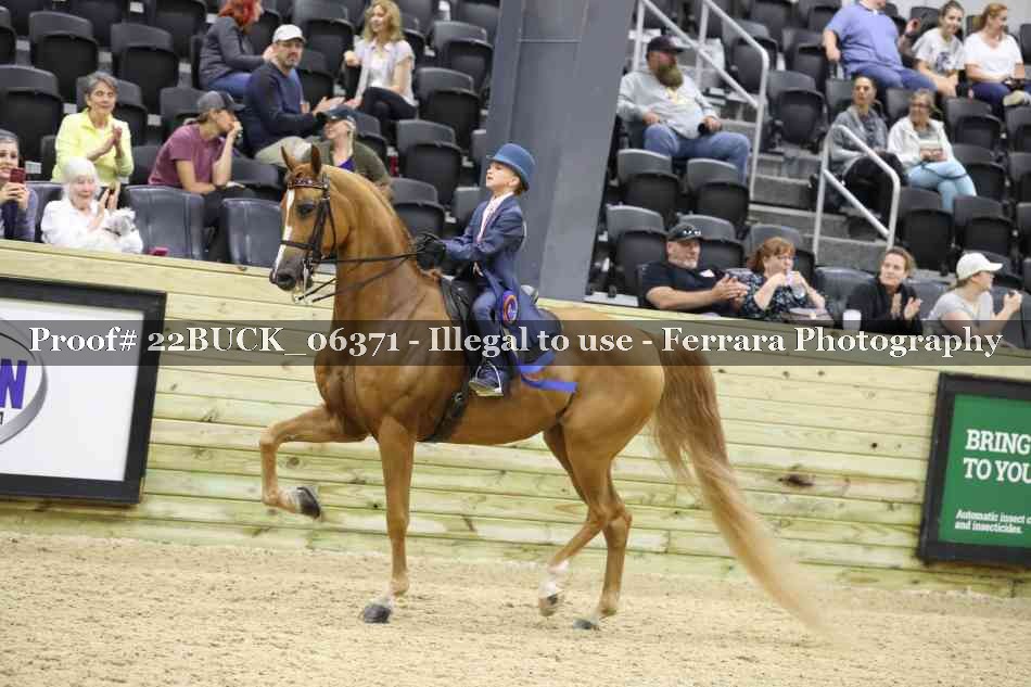 Proof 22BUCK_06371