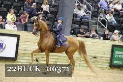 22BUCK_06371 proof