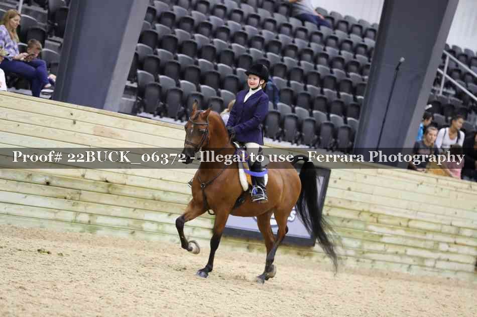 Proof 22BUCK_06372