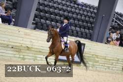 22BUCK_06372 proof